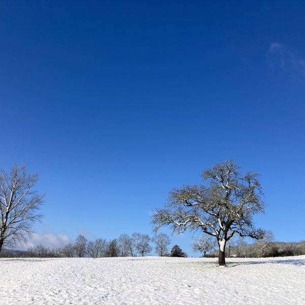 Hiver_5